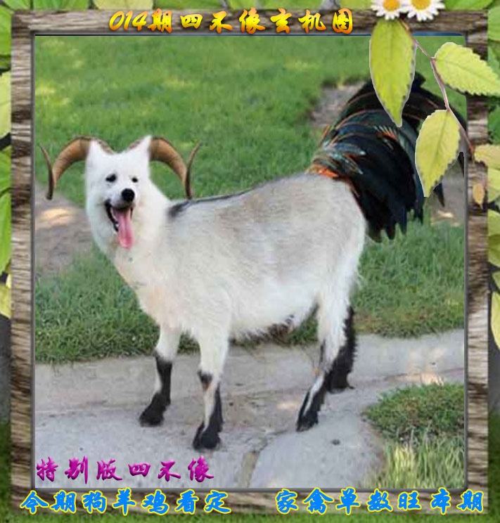 014期四不像特别版[图]
