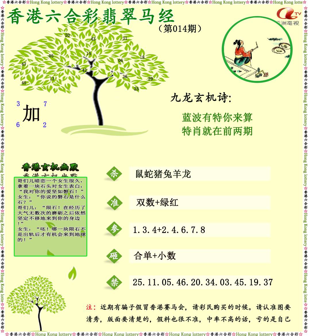 014期翡翠马经[图]